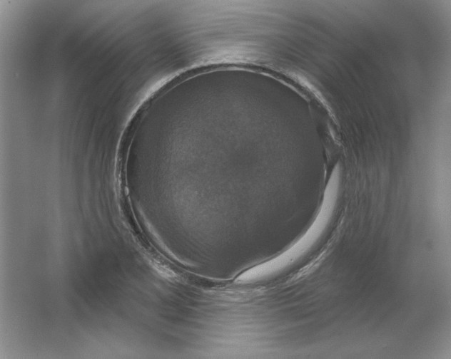 X0000064741077200603031701