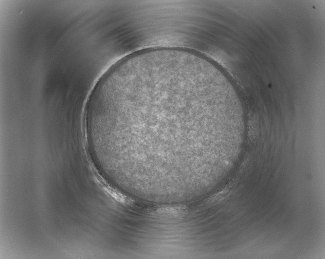 X0000064741078200603031701