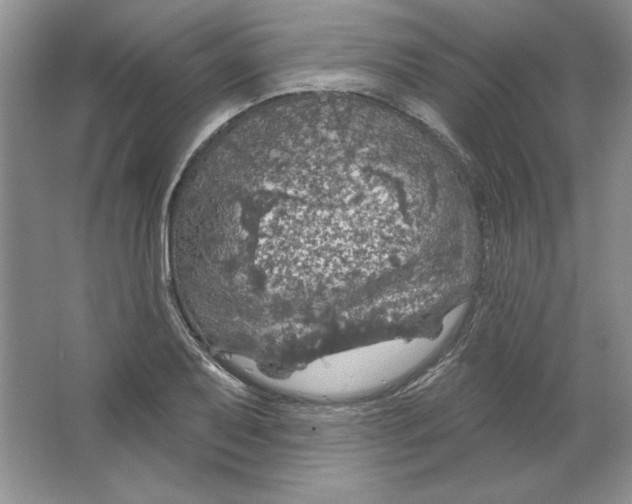 X0000064741079200603031701