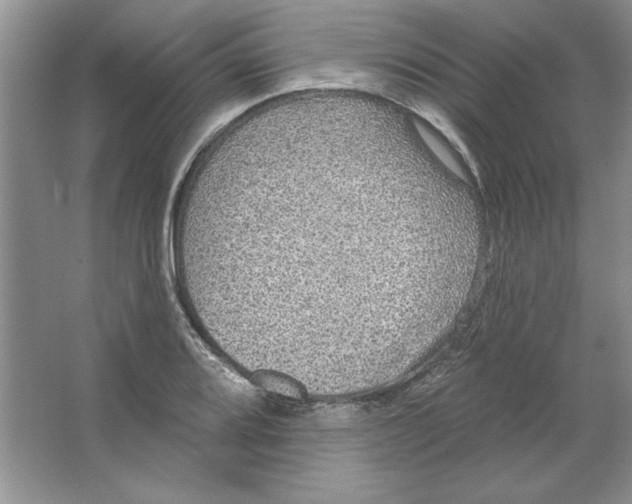 X0000064741080200603031701