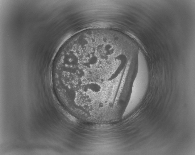 X0000064741083200603031701