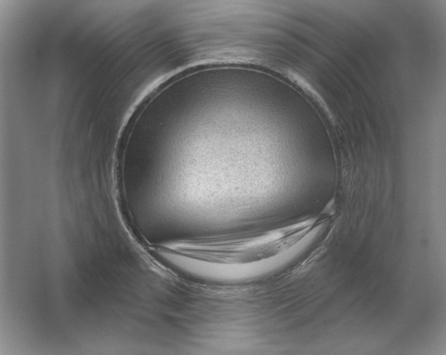 X0000064741085200603031701