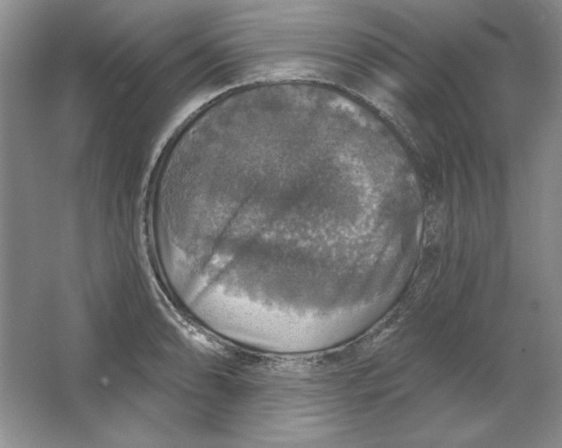 X0000064741086200603031701