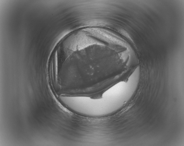 X0000064741087200603031701