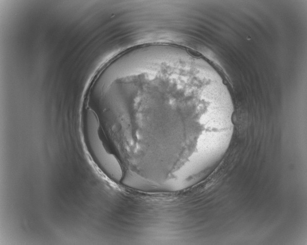 X0000064741088200603031701