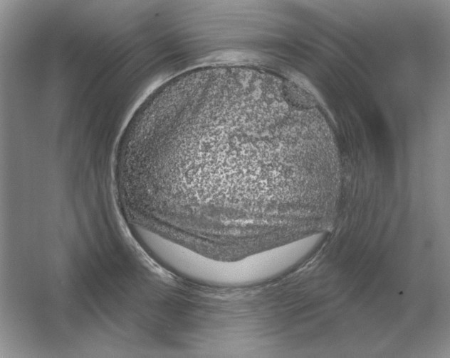 X0000064741091200603031701