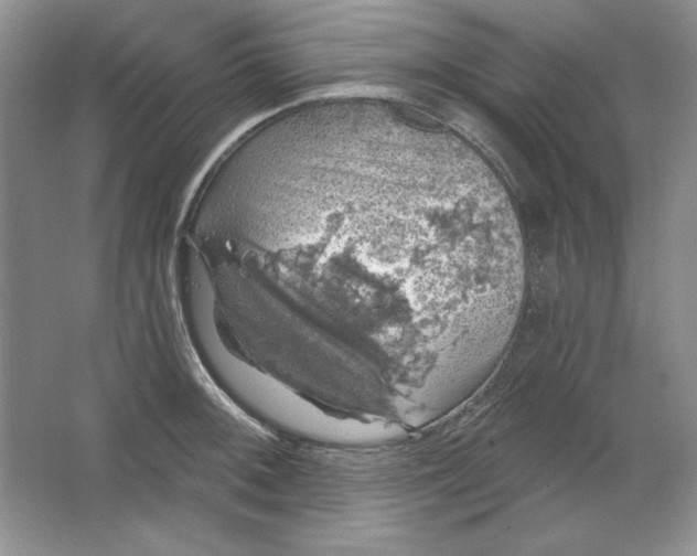 X0000064741092200603031701