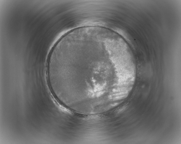 X0000064741094200603031701