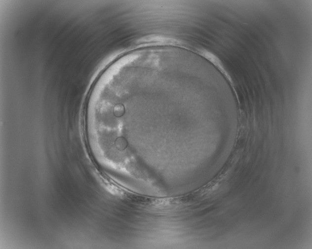 X0000064741098200603031701