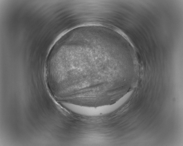 X0000064741101200603031701