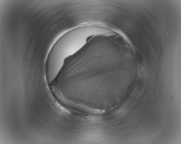 X0000064741102200603031701