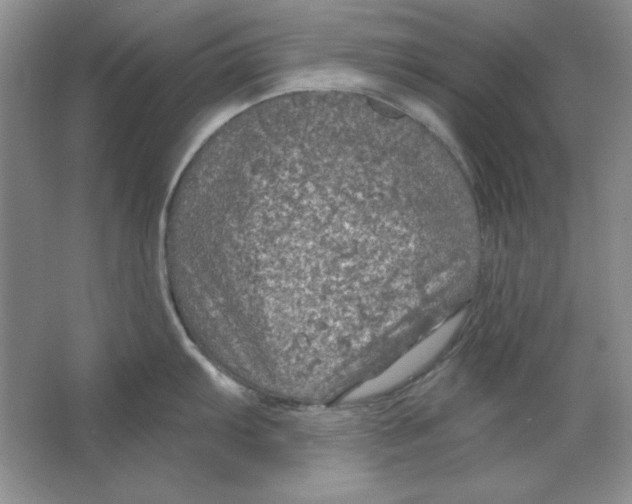 X0000064741103200603031701