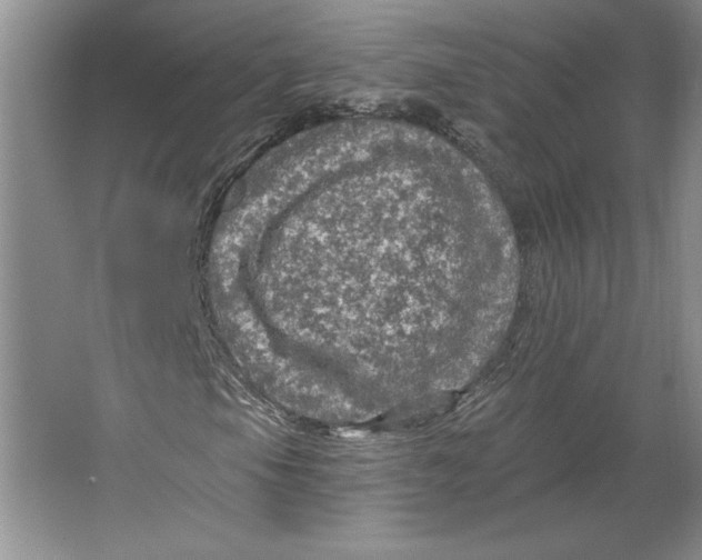 X0000064741105200603031700