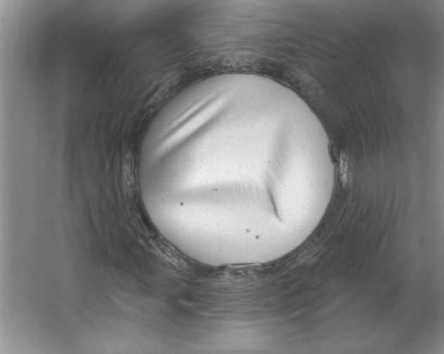 X0000064741107200603031700