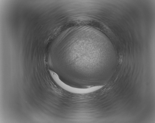 X0000064741108200603031700