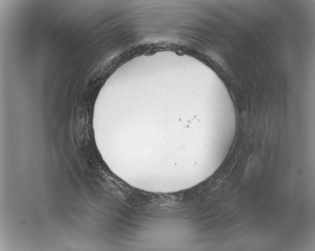 X0000064741111200603031700