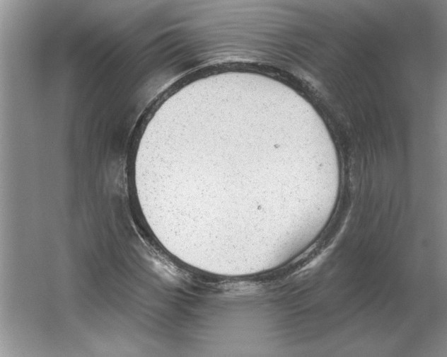 X0000064741113200603031700