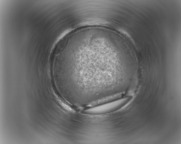 X0000064741114200603031700