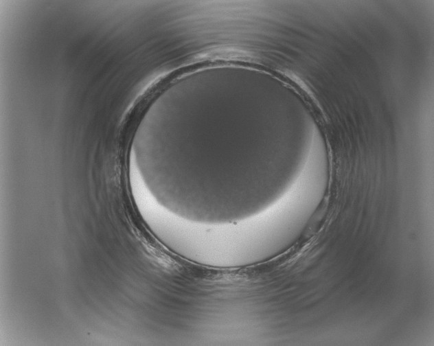 X0000064741115200603031700