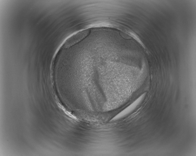 X0000064741116200603031700