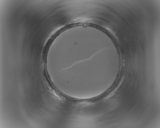 X0000064741117200603031700