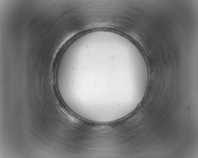 X0000064741119200603031700