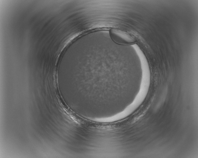 X0000064741121200603031700