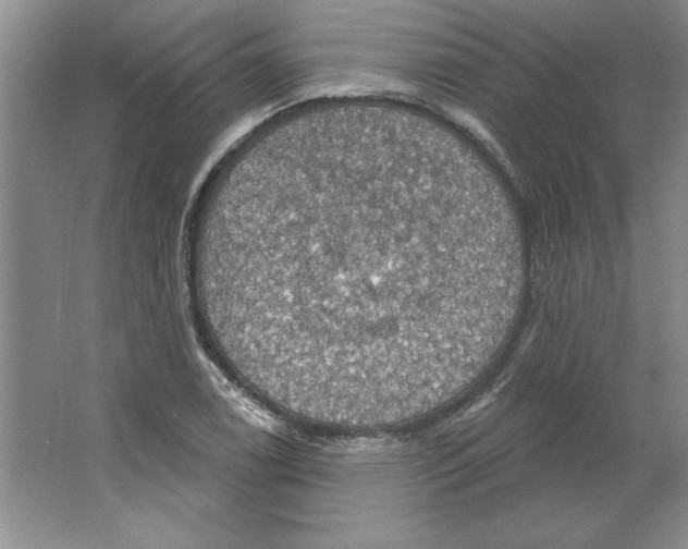 X0000064741122200603031700