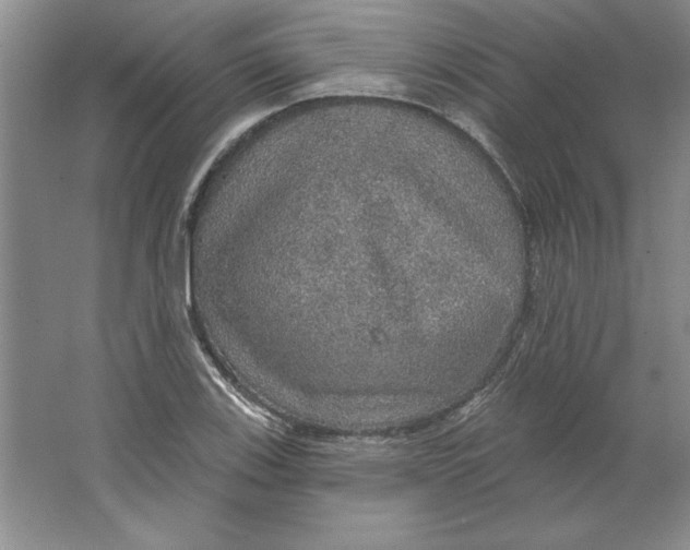 X0000064741123200603031700