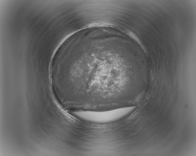 X0000064741124200603031700