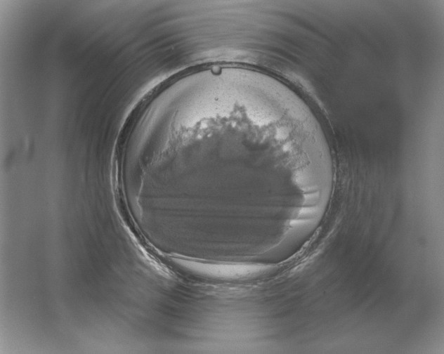 X0000064741125200603031700