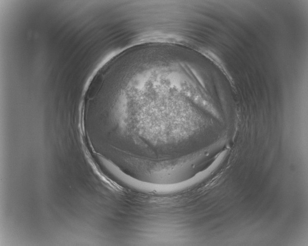 X0000064741128200603031700