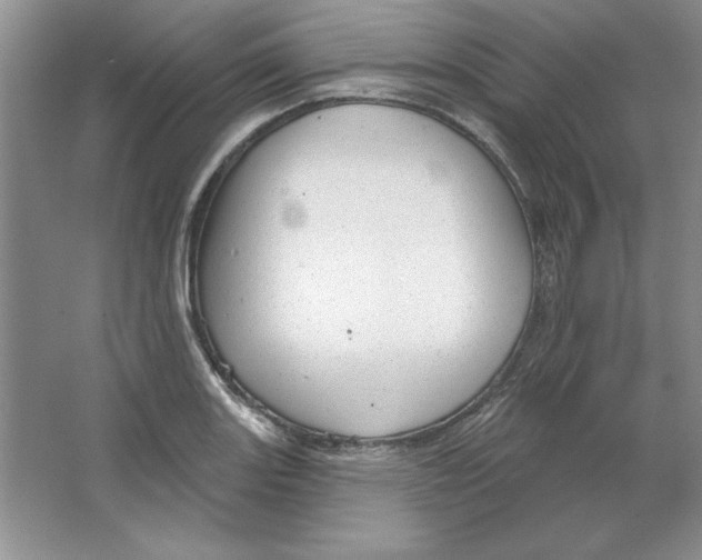 X0000064741131200603031700