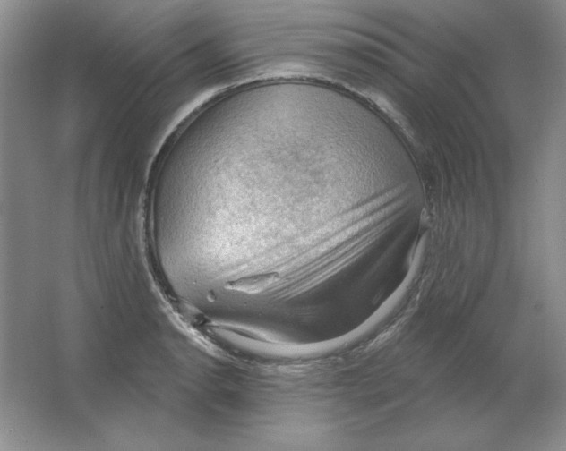 X0000064741134200603031700