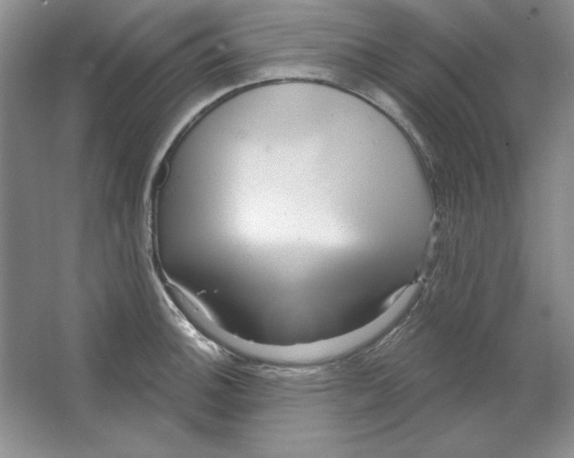 X0000064741140200603031701