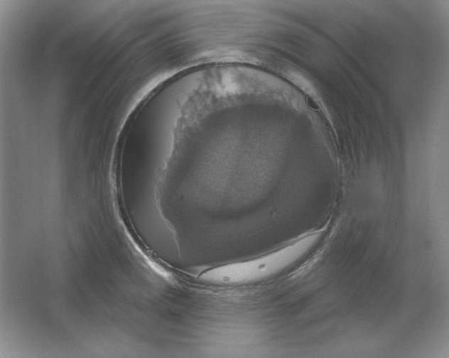 X0000064741141200603031701