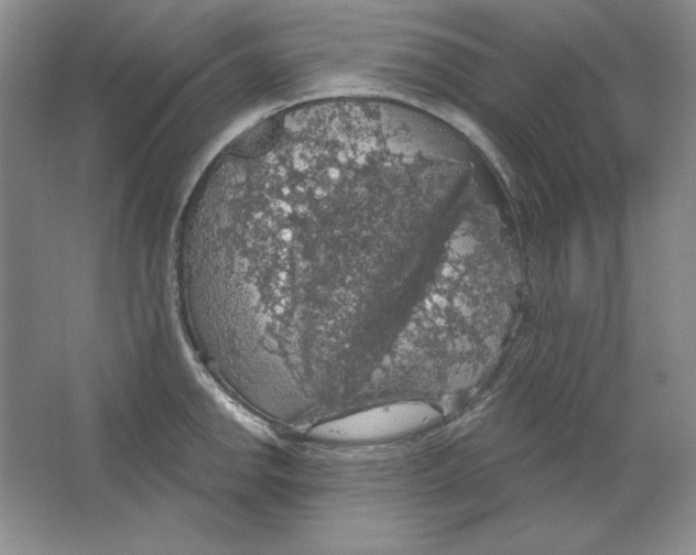 X0000064741142200603031701