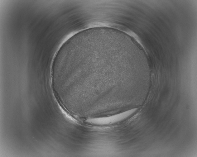 X0000064741143200603031701