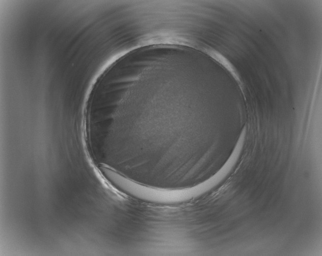 X0000064741144200603031701