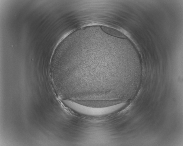 X0000064741145200603031701