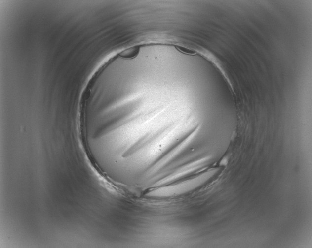 X0000064741147200603031701