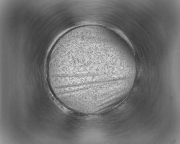 X0000064741148200603031701