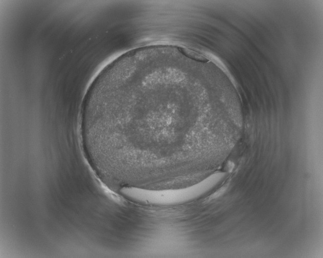 X0000064741149200603031701