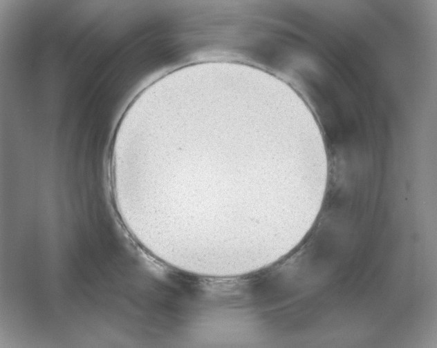 X0000064741150200603031701