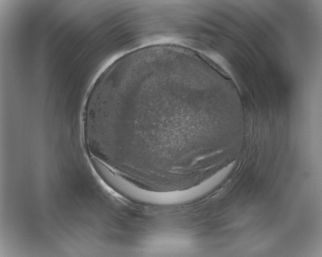 X0000064741151200603031701