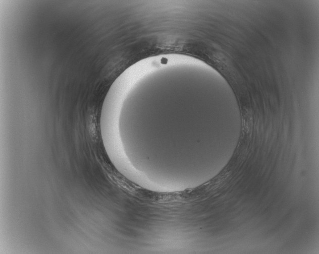 X0000064741154200603031700