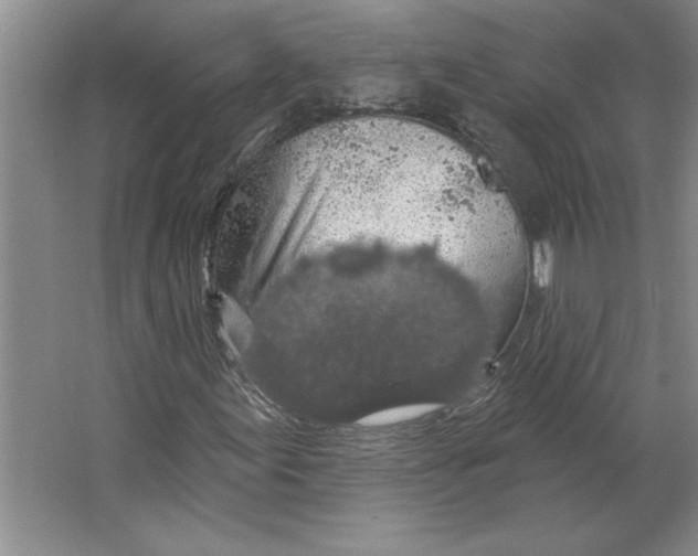 X0000064741155200603031700