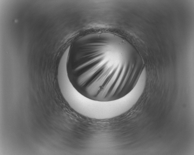 X0000064741157200603031700