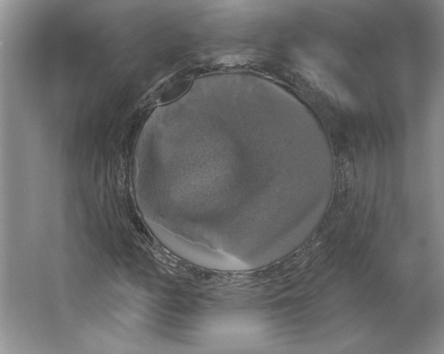 X0000064741158200603031700