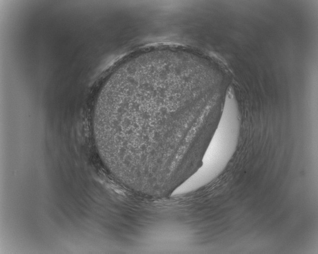 X0000064741159200603031700